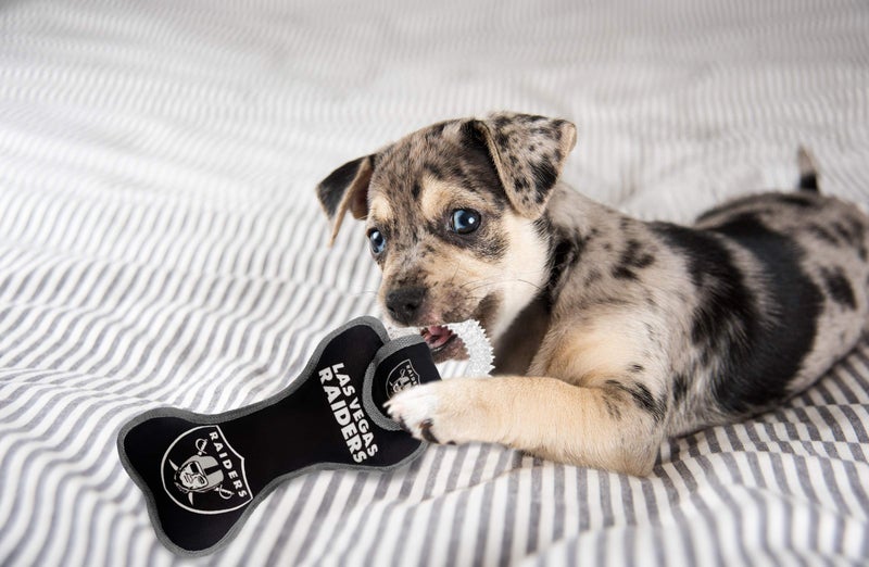 Pets First NFL Las Vegas Raiders Football Dental Tough Dog TUG Bone Toy with Built-in Squeaker Attached to a Safe Rubber Teething Toothbrush PET Toy, Team Color, (OAK-3310), 14 x 5 - Image 3